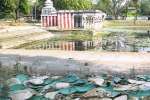 குப்பையால் சீரழியும் நாதாதீஸ்வரர் குளம்!