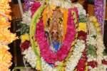 உடுமலை மாரியம்மன் கோவில் தேரோட்டம் கோலாகலம்!
