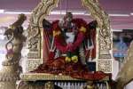 வடபழனி முருகன் கோவிலில் அலகு குத்தி பக்தர்கள் நேர்த்திக்கடன்!