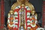 சுந்தர வரதராஜ பெருமாள் கோவில் பிரம்மோற்சவம் துவக்கம்!