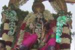அனுமந்த வாகனத்தில் கரிகிருஷ்ண பெருமாள் வீதியுலா