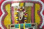 சக்தி முருகன் கோவிலில் பவுர்ணமி காவடி உற்சவம்!