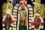 ஸ்தலசயன பெருமாள் கோவில் பிரம்மோற்சவம் நிறைவு!