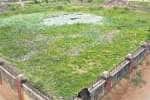 அவல நிலையில் முருகன் கோவில் குளம்!