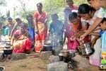 அவிநாசி மாகாளியம்மன் பொங்கல் பூச்சாட்டு விழா