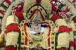 அகத்தீஸ்வரர்  - கரிகிருஷ்ண பெருமாள் சந்திப்பு திருவிழா!