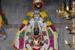 வீரபாண்டி திருவிழா நாளை துவக்கம் சிறப்பு தரிசனம், வி.ஐ.பி., பாஸ் கிடையாது!