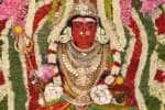 குங்கும மாரியம்மன் கோவிலில் பூச்சாட்டு விழா!