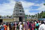 மாசாணியம்மன் கோவிலில் அமாவாசை விழா!