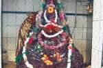 சோளீஸ்வரர் கோவிலில் ருத்ராட்ச அபிஷேகம்