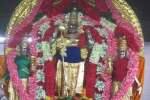 திருத்தணி முருகன் கோவிலில் கிருத்திகை விழா!