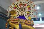 தங்க காக வாகனத்தில் திருநள்ளார் சனீஸ்வரர் வீதியுலா!