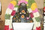 கொளஞ்சியப்பர் கோவிலில் வைகாசி விசாக சிறப்பு பூஜை!