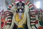 வீரட்டானேஸ்வரர் கோவிலில் வைகாசி விசாக பெருவிழா!