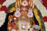 அயன்கரிசல்குளம் காளியம்மன் கோயில் வைகாசி விழா!