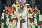 திருப்பூர் வீரராகவப் பெருமாள் கோவில் தேரோட்டம்!