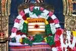 சிவலோகநாதர் கோவிலில் பிரதோஷ வழிபாடு
