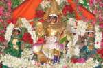சேவுகப்பெருமாள் ஐயனார் கோயில் வைகாசி விசாக தேரோட்டம்!