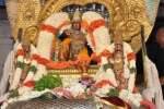 சேஷ வாகனத்தில் காஞ்சி வரதராஜ பெருமாள் பவனி!