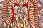 திருவேங்கடமுடையான் கோவிலில் கருட சேவை உற்சவம்!