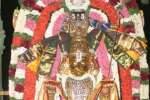 விசாக நட்சத்திர பூஜை கருட வாகனத்தில் பெருமாள்!