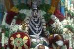 வரதராஜப் பெருமாள் கோயில் வைகாசி வசந்தோற்சவ விழா