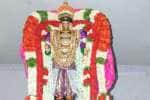 ராஜகோபால சுவாமி யானை வாகனத்தில் வீதியுலா!
