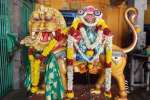 காரைக்கால் ராஜசோளீச்சுரர் கோவில் சிம்ம வாகனம் வெள்ளோட்டம்!