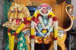 ராஜசோளீச்சுரர் கோவில் நூதன சிம்ம வாகனம் வெள்ளோட்டம்!