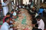 விருத்தாசலம் விருத்தகிரீஸ்வரர் கோவிலில் காணிக்கை எண்ணும் பணி!