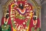 முகாசபரூர் கோவிலில்சுவாமி அருள்பாலிப்பு!