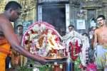 சிதம்பரம் அனந்தீஸ்வரர் கோவிலில் சிறப்பு அபிஷேகம்!