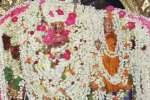 கைலாசநாதர் கோவிலில் ஆனி திருமஞ்சனம்!