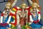 நரசிம்ம பெருமாள் கோவிலில் ஆனி பிரம்மோற்சவம் துவக்கம்!