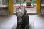வில்வநாதீஸ்வரர் கோவில் நந்திகேஸ்வரர் மீது கல் தூண் சரிந்தது!