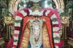 தன்வந்திரி அலங்காரத்தில் சரநாராயண பெருமாள்!