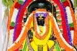 தண்டுமாரியம்மன் கோவிலில் தட்சிணாமூர்த்திக்கு அபிஷேகம்!