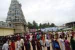 மாசாணியம்மன் கோவிலில் அமாவாசை வழிபாடு!