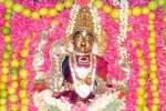பழநி கோயிலில் ஆடி வெள்ளி: நூறாயிரம் மலர் வழிபாடு!