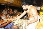 சபரிமலையில் நிறை புத்தரிசி பூஜை: திரளான பக்தர்கள் பங்கேற்பு!