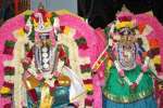 ரேணுகா பரமேஸ்வரிக்கு திருக்கல்யாண வைபவம்!