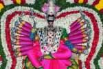 அம்மையார்குப்பம் அன்னியம்மனுக்கு ஆடி பொங்கல்!