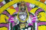 வடக்குபட்டு மாரியம்மன் கோவில் ஆடி திருவிழா!