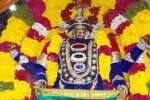 புத்துமாரியம்மன்  கோவிலில் தீ மிதி திருவிழா!