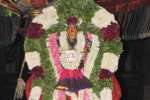 விருத்தகிரீஸ்வரர் கோவிலில் அம்மன் வீதியுலா!