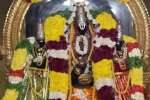 பிரசன்ன வரதராஜ சுவாமி கோவில் பவித்ர உற்சவம் நிறைவு!