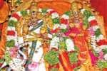 மதுரை ஆவணி மூலத்திருவிழா: நாரைக்கு முக்தி கொடுத்த சுந்தரேஸ்வரர்!