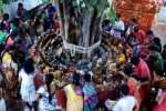 நாகர் கோவிலில் நாக பஞ்சமி சிறப்பு பூஜை