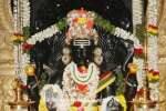 திருவள்ளூர் தட்சிணாமூர்த்திக்கு பாலாபிஷேகம்!