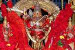 சிவப்பு சார்த்தி கோலத்தில் திருச்செந்தூர் முருகப்பெருமான் உலா!